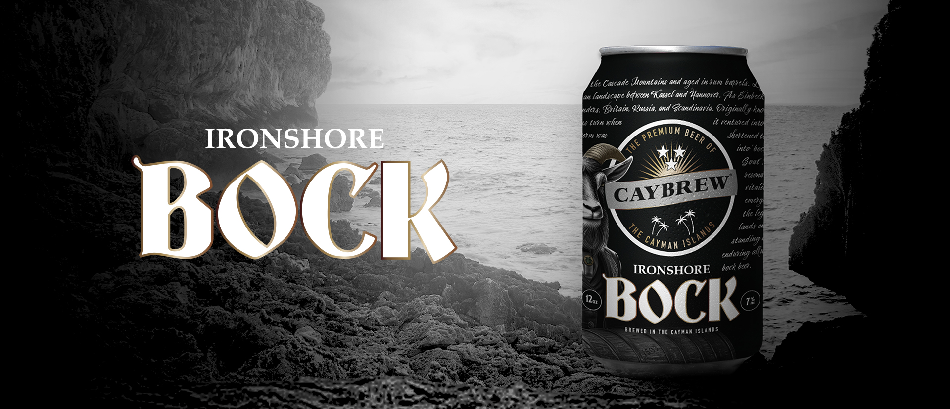 Beer Banner