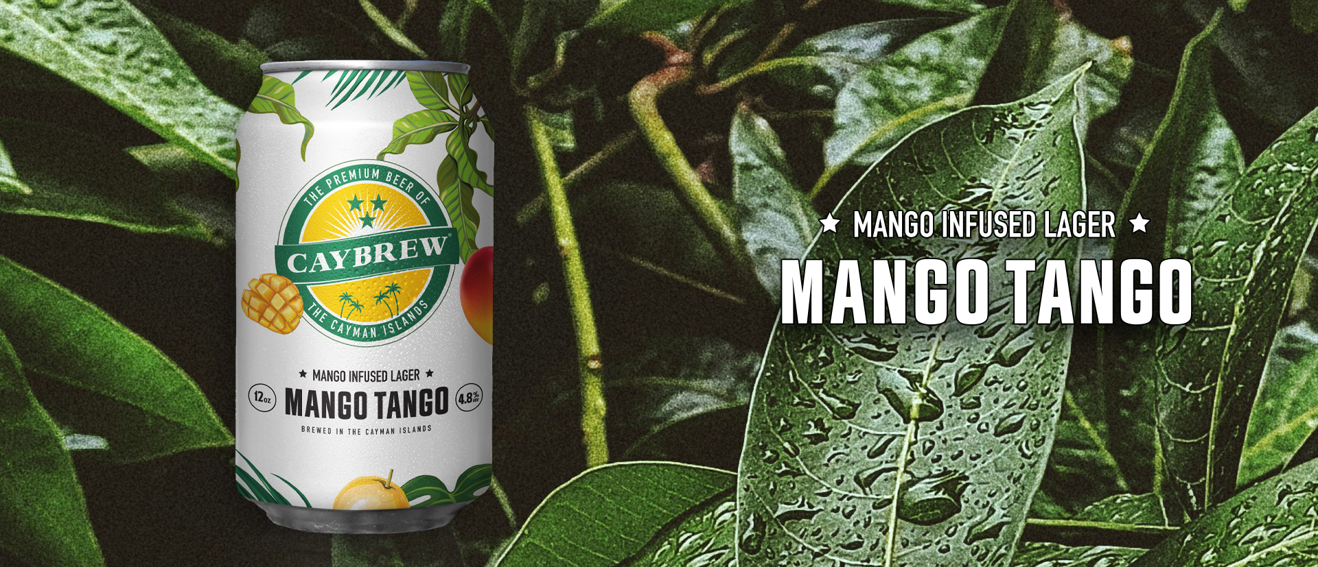 Beer Banner