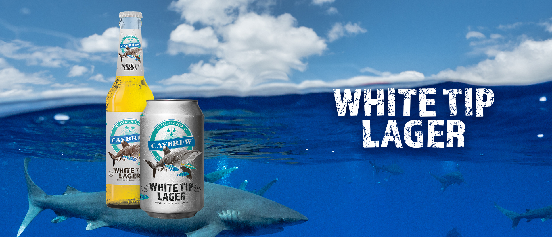 Beer Banner